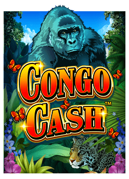 เว็บ สล็อต ค่าย pg ที่คุณไม่ควรพลาด